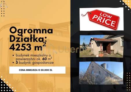 Dom do remontu z dużą działką