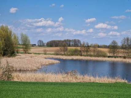 Staw - działka rolna 5,24 ha z pięknym stawem