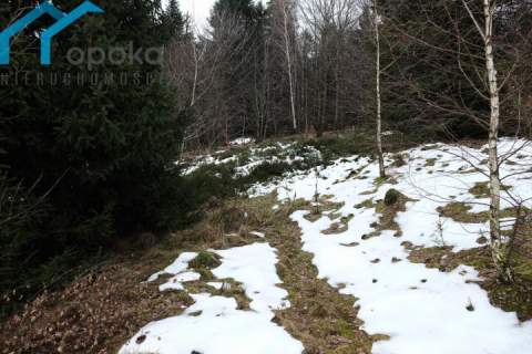 Działka letniskowa w górach 10 548 m2