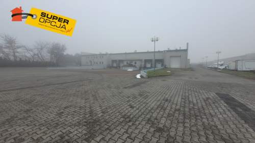 Do wynajęcia magazyn, chłodnia-produkcja - Rybitwy