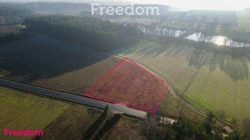 Idealna działka z warunkami zabudowy w Romanowie