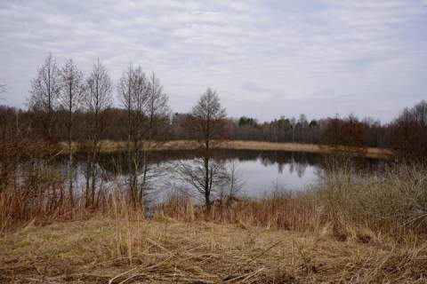 Działka budowlana na sprzedaż, 1651 m2, Grom