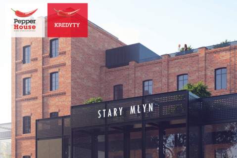 STARY MŁYN - ŻNIN