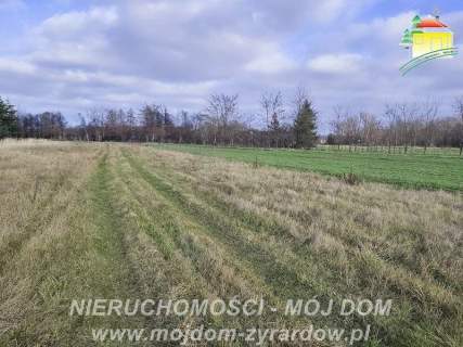 Duża działka rolna ok. 20700 m2, Stary Łajszczew.