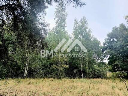 Budowlana 2800m2, Radonie, super lokalizacja