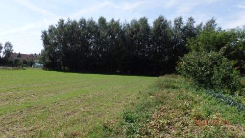 Sprzedam działkę budowlano-Uslugową z Warunkami Zabudowy