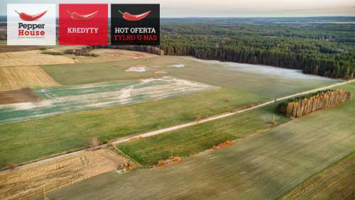 5000m2 w spokojnej miejscowości