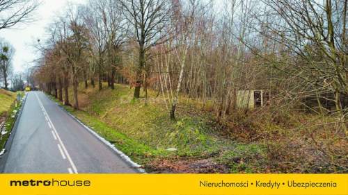 Działka siedliskowa na sprzedaż, 9981 m2, Kamionek Wielki