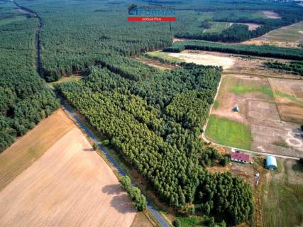 Działka na sprzedaż, 3118 m2, Łomnica