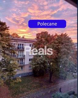 Duży 1 pok. z kuchnią, kamienica Nowolipki.