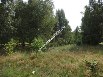 Ojrzanów 1000m2 w dobrej cenie LAS Media MPZP 