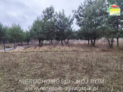 Przestronny, nowoczesny dom w stanie deeloperskim.