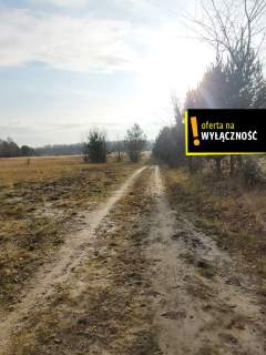 Działka blisko lasu.