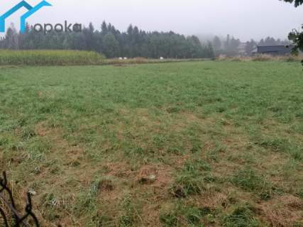 Działka usługowa 3121 m2 Leszna Górna