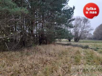 Działka rolna na sprzedaż, 85000 m2, Modlimowo