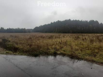 Idealna działka z warunkami zabudowy w Romanowie
