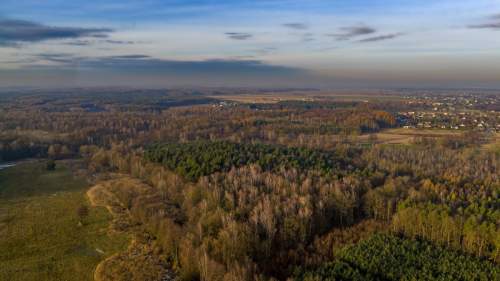 Działka Premium z prywatny lasem - 7,99ha