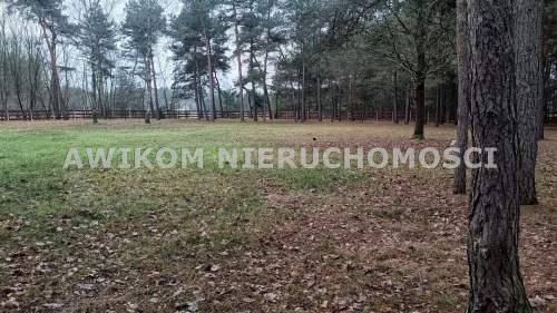 Działka budowlana na sprzedaż, 3975 m2, Puszcza Mariańska
