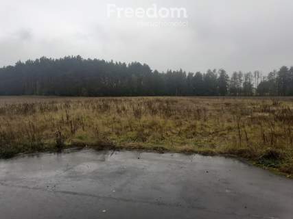 Idealna działka z warunkami zabudowy w Romanowie