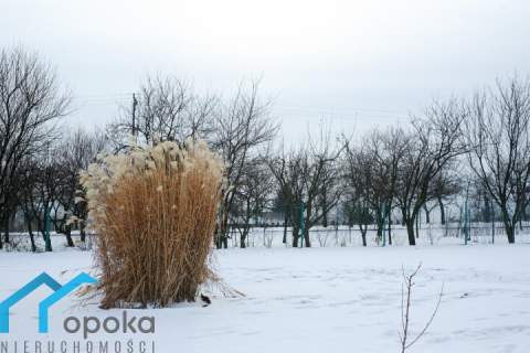 Duża działka w Cieszynie