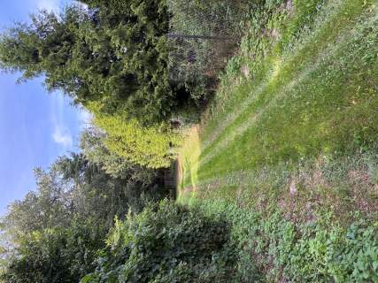 Siedlisko / dom budynki gospodarcze w Sobieszyn, 1h dojazd