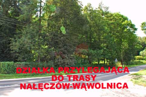 Działka 46 ar Łąki k. Nałęczowa Atrakcyjna Cena 