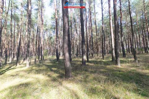działki na sprzedaż w Rosku gmina Wieleń