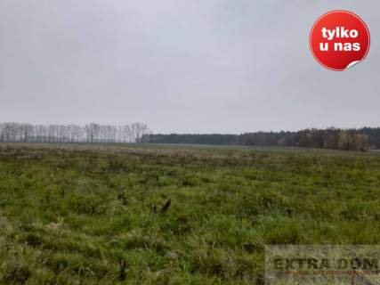 Działka rolna na sprzedaż, 85000 m2, Modlimowo