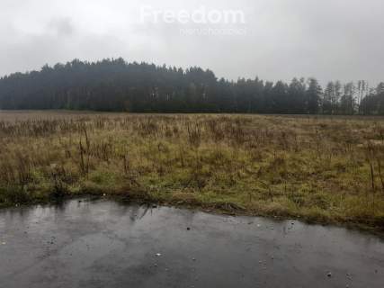 Idealna działka z warunkami zabudowy w Romanowie