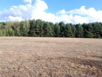 Działki budowlane 1200 m2, Wydane warunki zabudowy