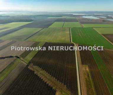 Działka rolna na sprzedaż, 12296 m2, Brodnia