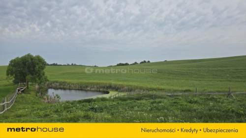 Spokojna posiadłość na Pomorzu z dużym potencjałem