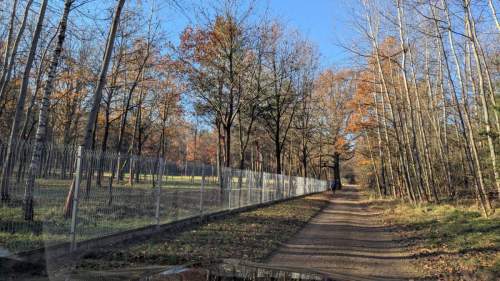 Działka Premium z prywatny lasem - 7,99ha
