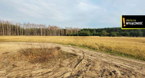 Działka blisko lasu.