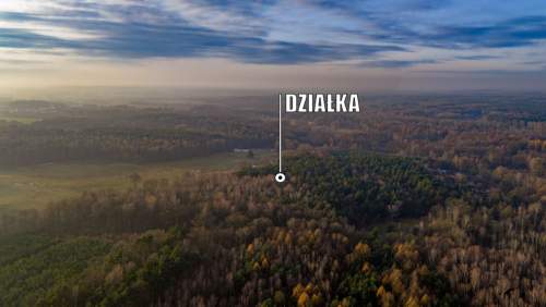 Działka Premium z prywatny lasem - 7,99ha