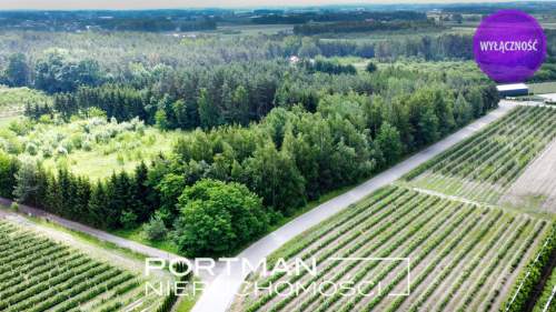 Działka budowlana 1100m2, SPRZEDAŻ, MPZP