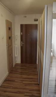 Wynajmę mieszkanie z balkonem 49m2 Os. Tysiąclecia Katowice