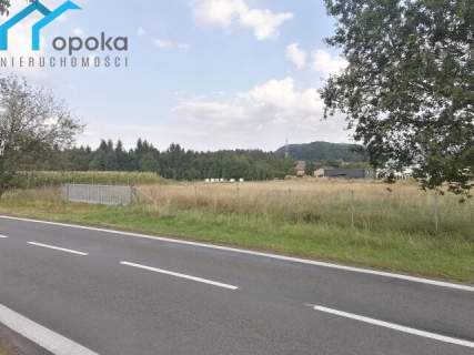 Działka usługowa 3121 m2 Leszna Górna