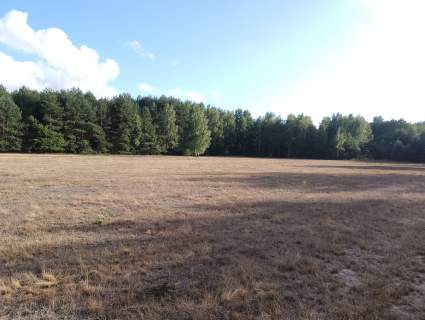 Działki budowlane 1200 m2, Wydane warunki zabudowy