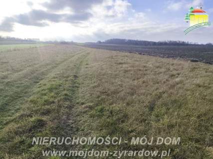 Duża działka rolna ok. 20700 m2, Stary Łajszczew.