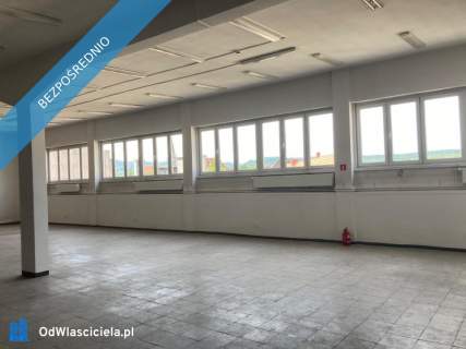 wynajmę lokal użytkowy w centrum Wałbrzycha