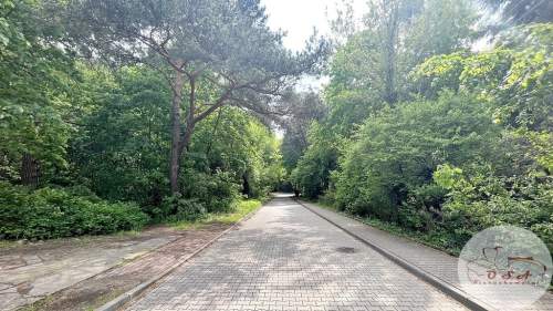 1000 m Puszczykowo Stare MPZP Pod lasem 