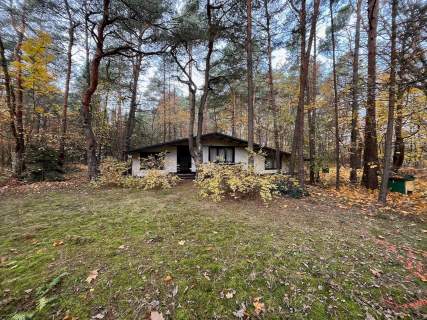 Działka budowlano- leśna Władysławów, gm. Miedźno