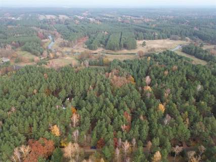 Działka budowlano- leśna Władysławów, gm. Miedźno