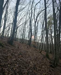 Ujkowice, działka rolno-leśna