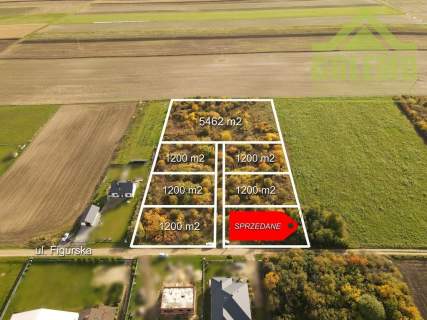 Działka budowlana / 1200m2 / Żuraw, gm. Janów