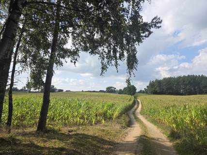Sprzedam gospodarstwo rolne z dostępem do jeziora