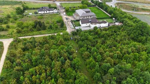 17 a Dąbrowa Górnicza Ujejsce koło Antoniowa i Pogorii