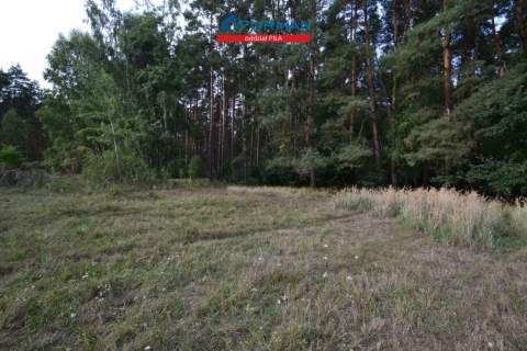 Działka rolna na sprzedaż, 28600 m2, Biała