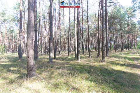 działki na sprzedaż w Rosku gmina Wieleń